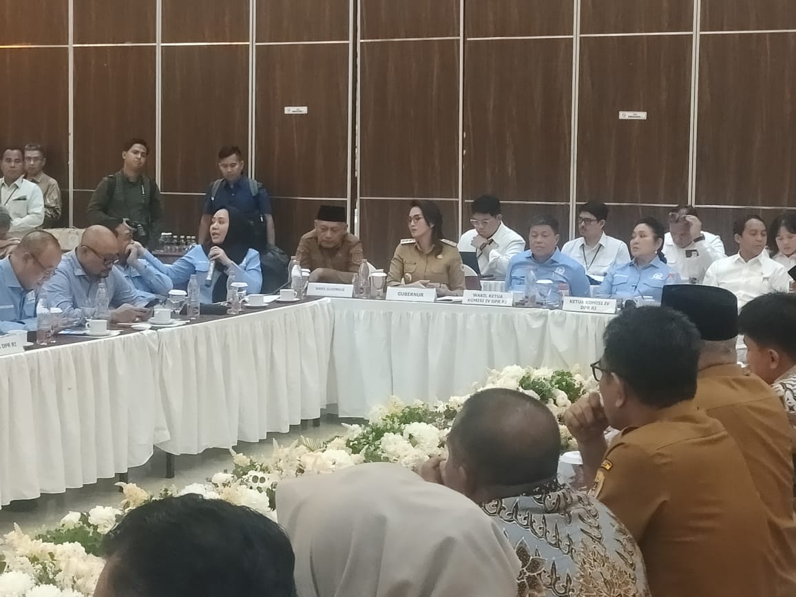 Komisi IV Soroti PT Karya Wijaya Tanpa IPPKH, Bupati Halteng: Daerah Tidak Pernah Dilibatkan